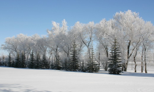 cold morning