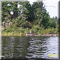 BaldEagle1 - 122 KB