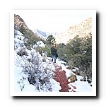 IMG_1800.jpg