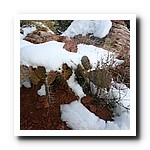 IMG_1801.jpg