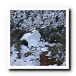 IMG_1803.jpg