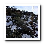 IMG_1811.jpg
