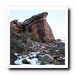 IMG_1816.jpg