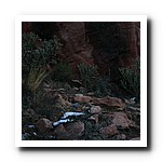IMG_1817.jpg