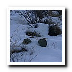IMG_1818.jpg