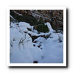 IMG_1825.jpg