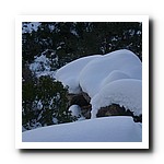 IMG_1829.jpg