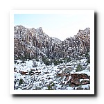 IMG_1836.jpg