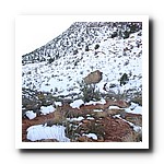 IMG_1837.jpg