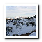 IMG_1844.jpg